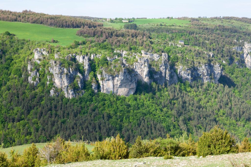 Wapienne skaly w zalesionej dolinie