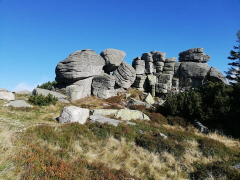 Granitowe skałki w Karkonoszach